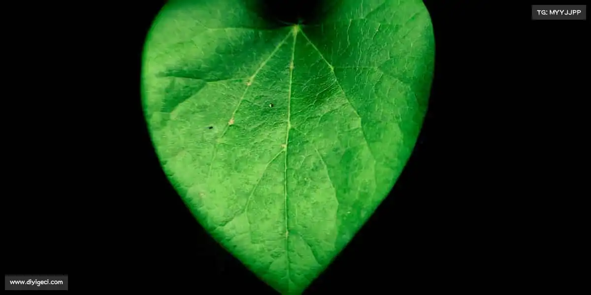 我们的品牌价值